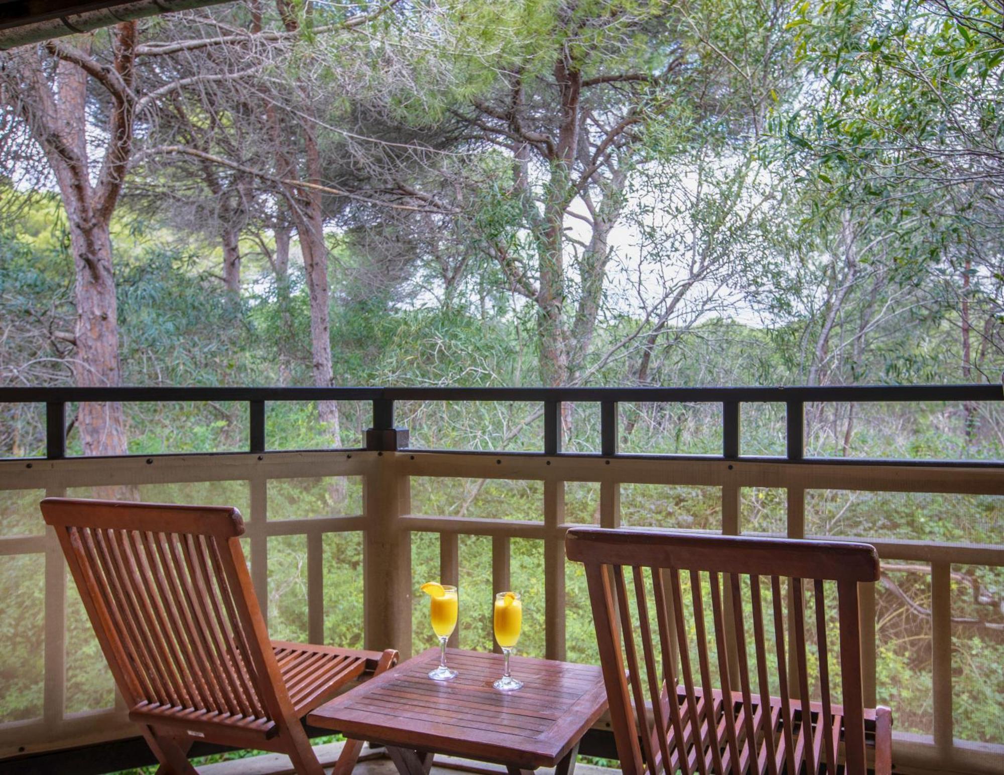 Otel Asteria Family Belek Antalya